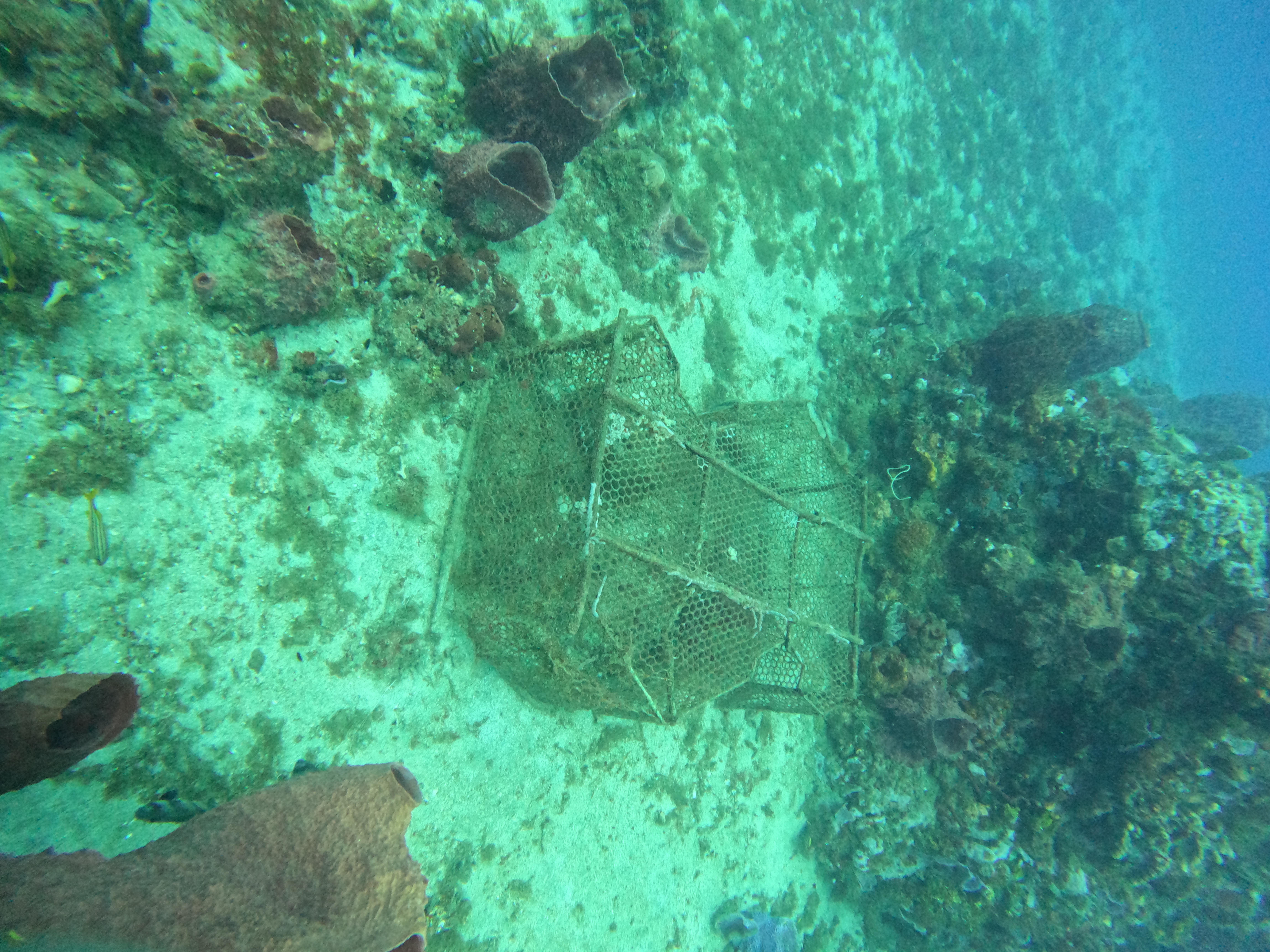 Casier de pêche abandonné