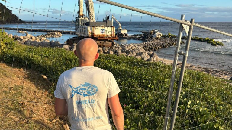 🌊 Grande Anse : documenter un récif pendant que les pelleteuses entrent en mer